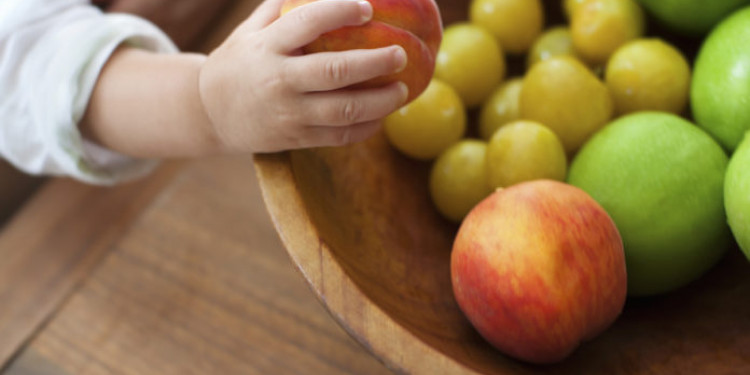 Niños, niñas y adolescentes consumen solo el 20% de las frutas y verduras recomendadas