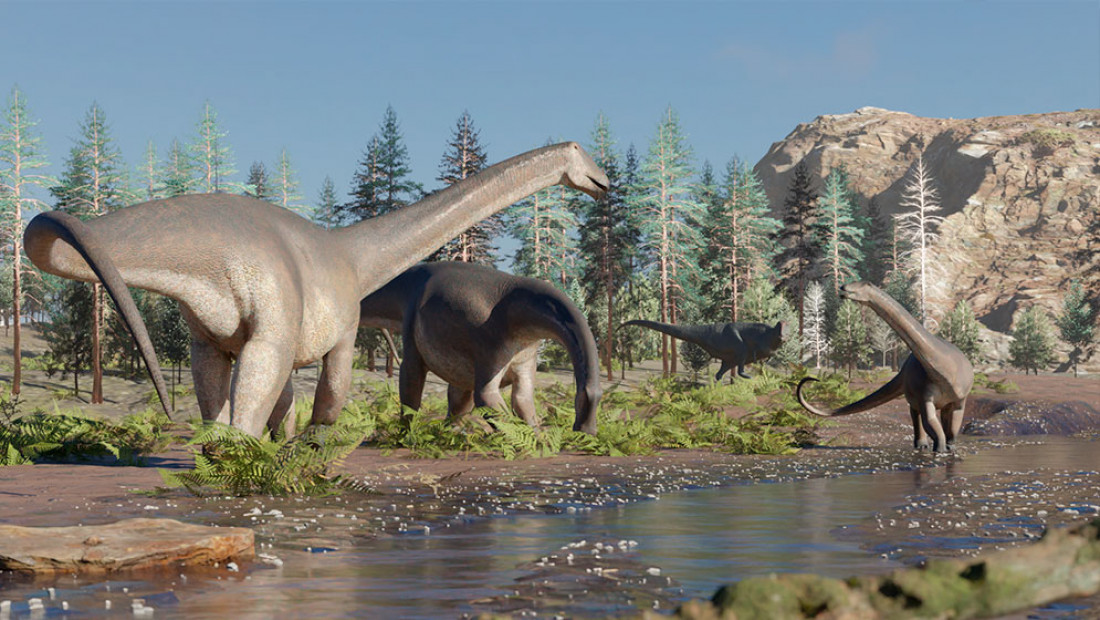 Descubren uno de los últimos dinosaurios de cuello largo y pico de pato en Neuquén