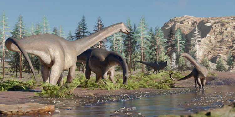 Descubren uno de los últimos dinosaurios de cuello largo y pico de pato en Neuquén