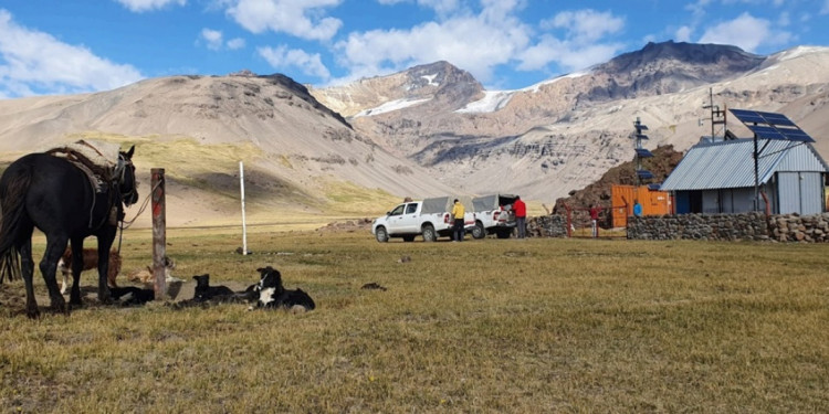 En casi cuatro décadas, los glaciares de Mendoza perdieron el 36% de su superficie