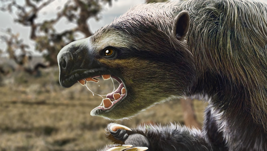 imagen que ilustra noticia El hallazgo de un perezozo gigante resuelve un enigma de 200 años 