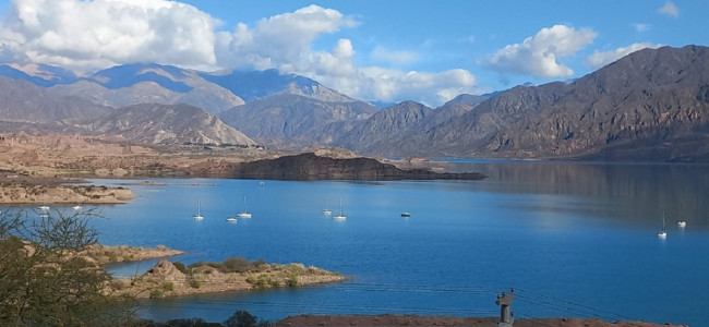 Hallaron microplásticos en peces exóticos y nativos de Mendoza