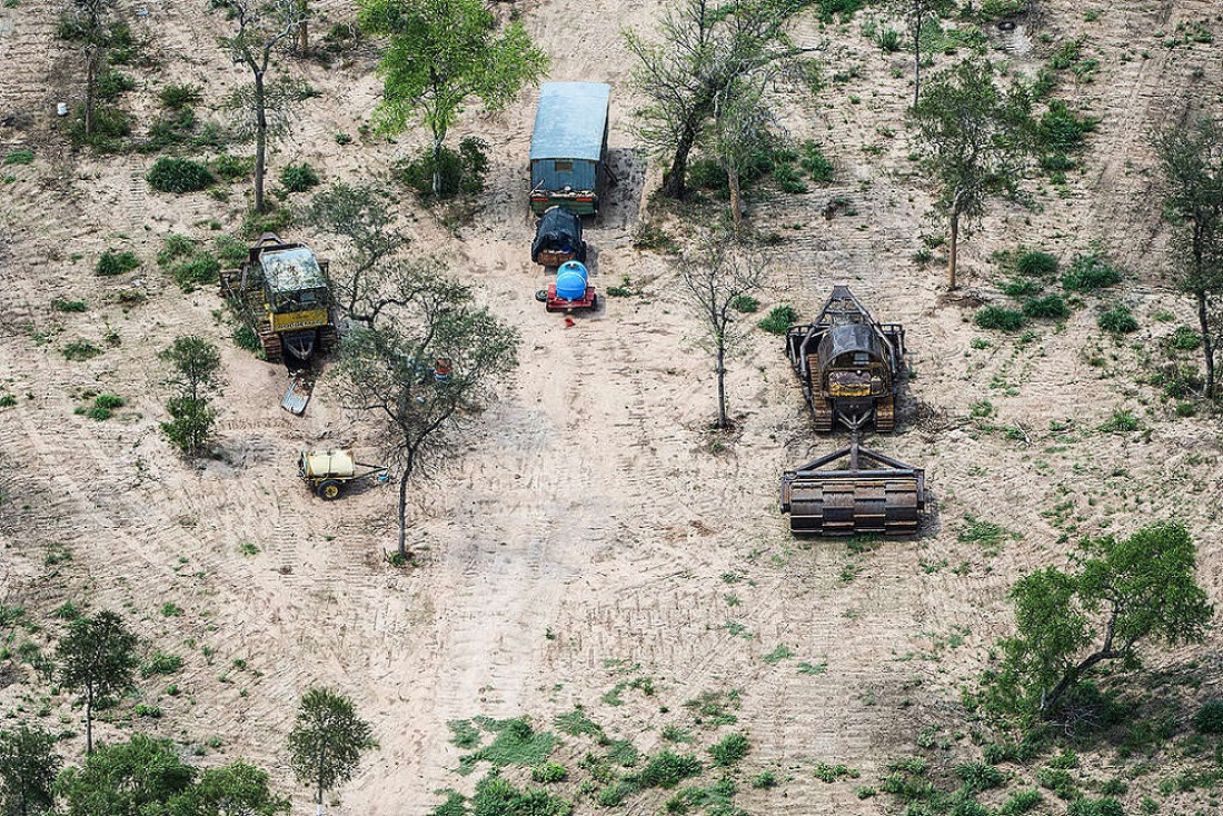 En 25 años, Argentina deforestó el equivalente a una provincia entera