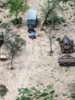 En 25 años, Argentina deforestó el equivalente a una provincia entera