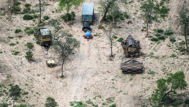 imagen En 25 años, Argentina deforestó el equivalente a una provincia entera