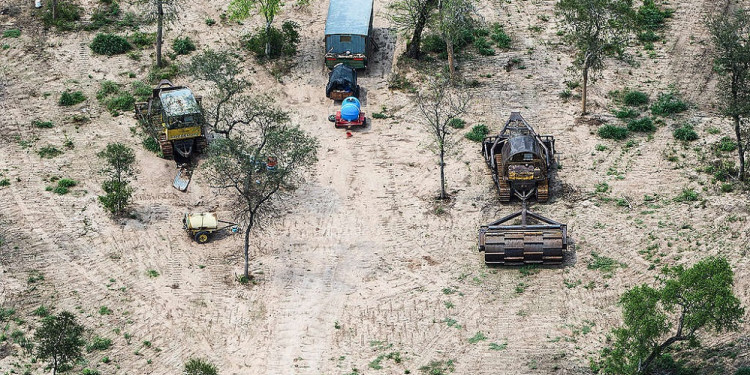 En 25 años, Argentina deforestó el equivalente a una provincia entera