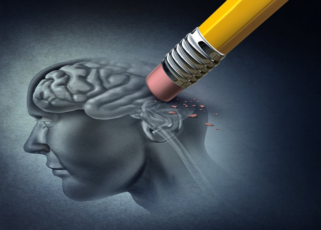 Diseñan un modelo que simula la actividad cerebral para ensayar tratamientos de enfermedades neurodegenerativas