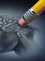 Diseñan un modelo que simula la actividad cerebral para ensayar tratamientos de enfermedades neurodegenerativas