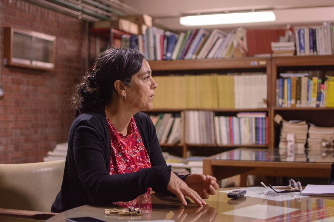 Ley de Glaciares: "Todos los cuerpos de hielo son reservas estratégicas de recursos hídricos" 