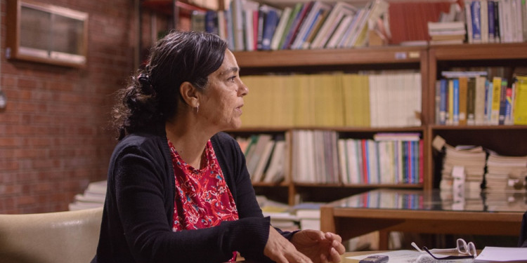 Ley de Glaciares: "Todos los cuerpos de hielo son reservas estratégicas de recursos hídricos" 