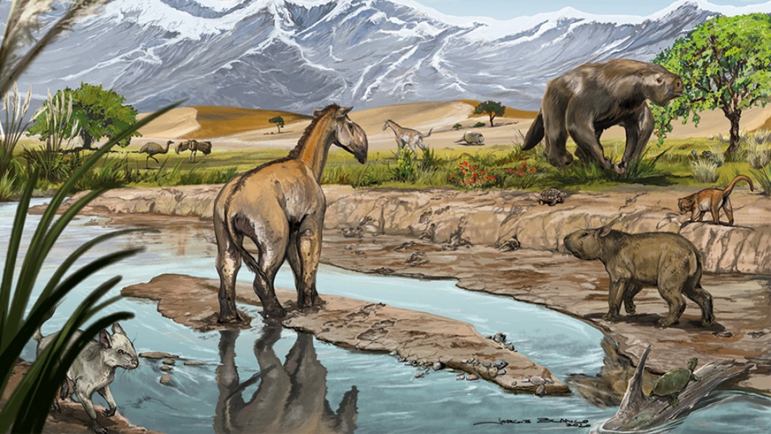 Revelan datos sobre los animales que habitaban Las Huayquerías hace millones de años