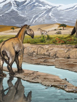 Revelan datos sobre los animales que habitaban Las Huayquerías hace millones de años