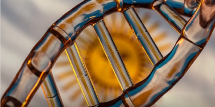 Identificaron un linaje genético propio de Argentina que sigue presente tras más de ocho mil años