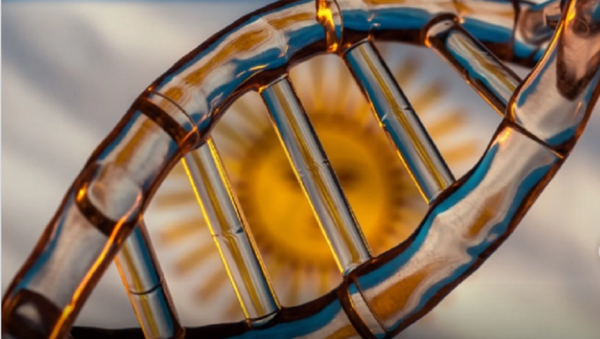 imagen que ilustra noticia Identificaron un linaje genético propio de Argentina que sigue presente tras más de ocho mil años