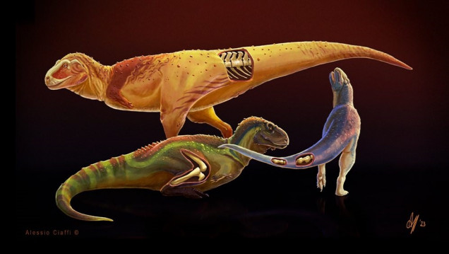 imagen Identifican enfermedades en dinosaurios depredadores que vivieron en la Patagonia