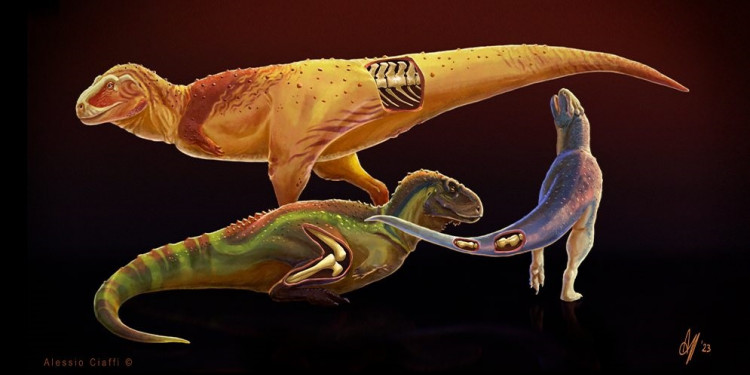 Identifican enfermedades en dinosaurios depredadores que vivieron en la Patagonia