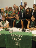 Aborto legal: aseguran que el debate en Senadores será más breve