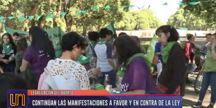 Aborto legal: manifestaciones de distintos sectores y votos decisivos en el Senado