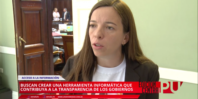 Acceso a la información pública: transparencia en el gobierno