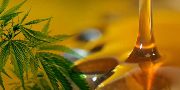 Mendoza ya tiene ley que regula el uso del cannabis medicinal