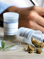 Sagás: "No hay un registro de cuántos pacientes usan aceite de cannabis"