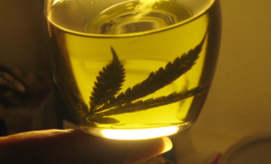 Cannabis medicinal: se abre el debate en Mendoza