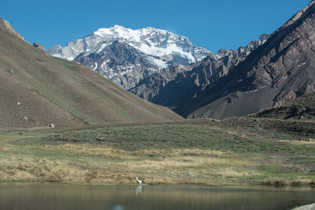 Temporada en el Aconcagua: primer ascenso a la cumbre y más rescates 