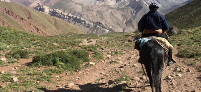 "Hoy, por los costos, ascender el cerro Aconcagua es para extranjeros"