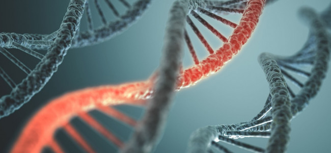 La publicación de la estructura de ADN cumple 70 años