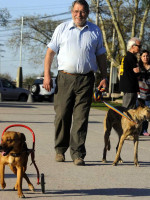 Perritos con rueditas, una alternativa de vida 