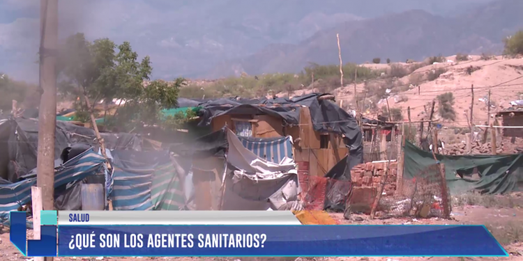 ¿Qué son los agentes sanitarios?