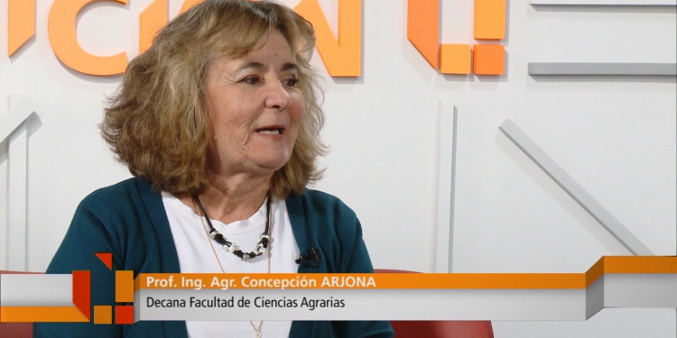 Entrevista Decana FCA Ing. Agr. Concepción Arjona