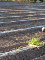 El año en que advertimos cuántas familias viven de la tierra