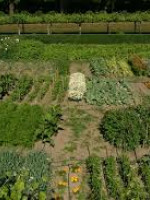 Economía Social: una visión de la agricultura biodinámica