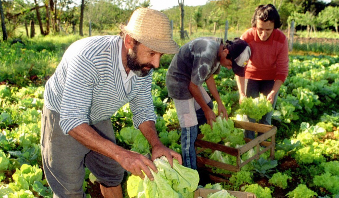 Hoy hay paro nacional en la Secretaría de Agricultura Familiar