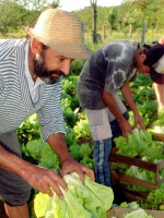 Hoy hay paro nacional en la Secretaría de Agricultura Familiar