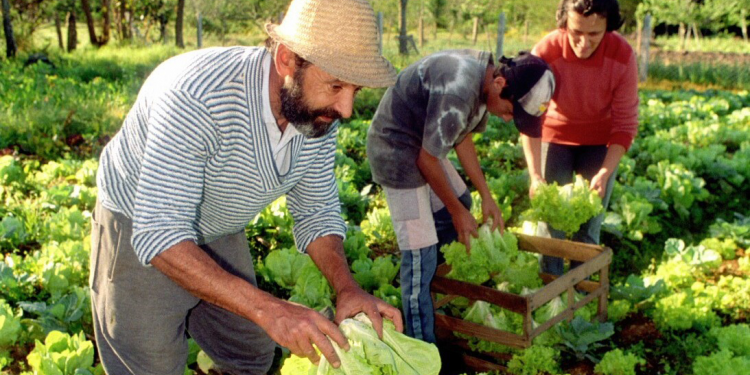 Hoy hay paro nacional en la Secretaría de Agricultura Familiar