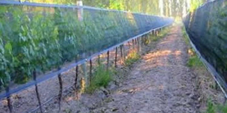 El Gobierno firma convenios para fortalecer la Agricultura Familiar y asiste a los municipios afectados por el granizo