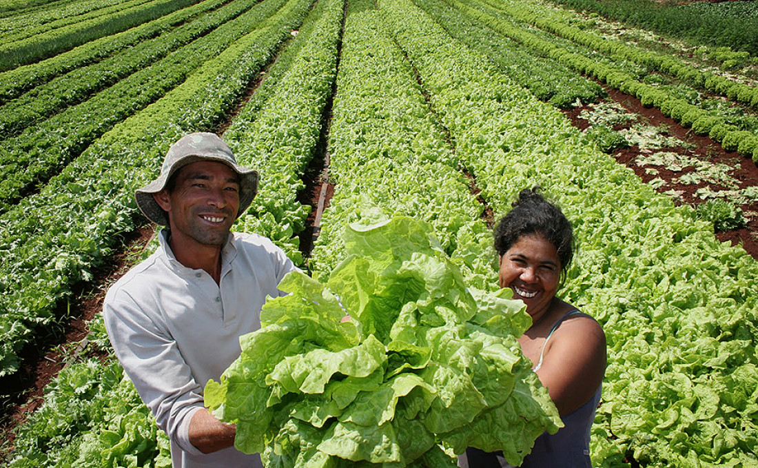 Agricultura y medio ambiente