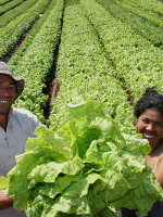 Agricultura y medio ambiente