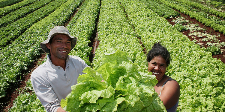 Agricultura y medio ambiente