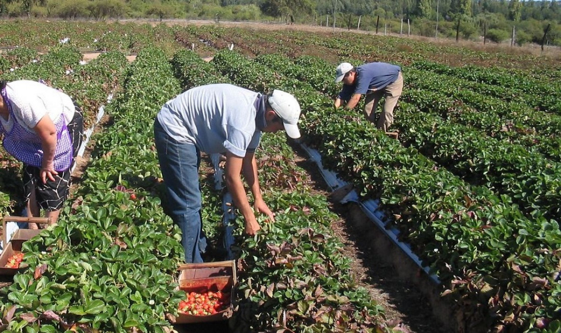 Lanzan el programa Mendoza Activa 4, con la promesa de financiar a nuevos sectores