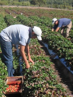 Lanzan el programa Mendoza Activa 4, con la promesa de financiar a nuevos sectores