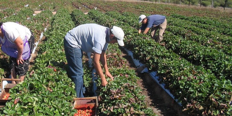 Lanzan el programa Mendoza Activa 4, con la promesa de financiar a nuevos sectores