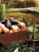 Columna de Ecología en LA POSTA