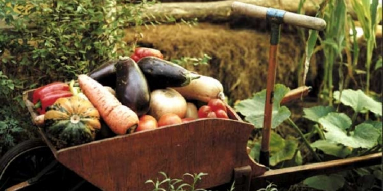 Columna de Ecología en LA POSTA