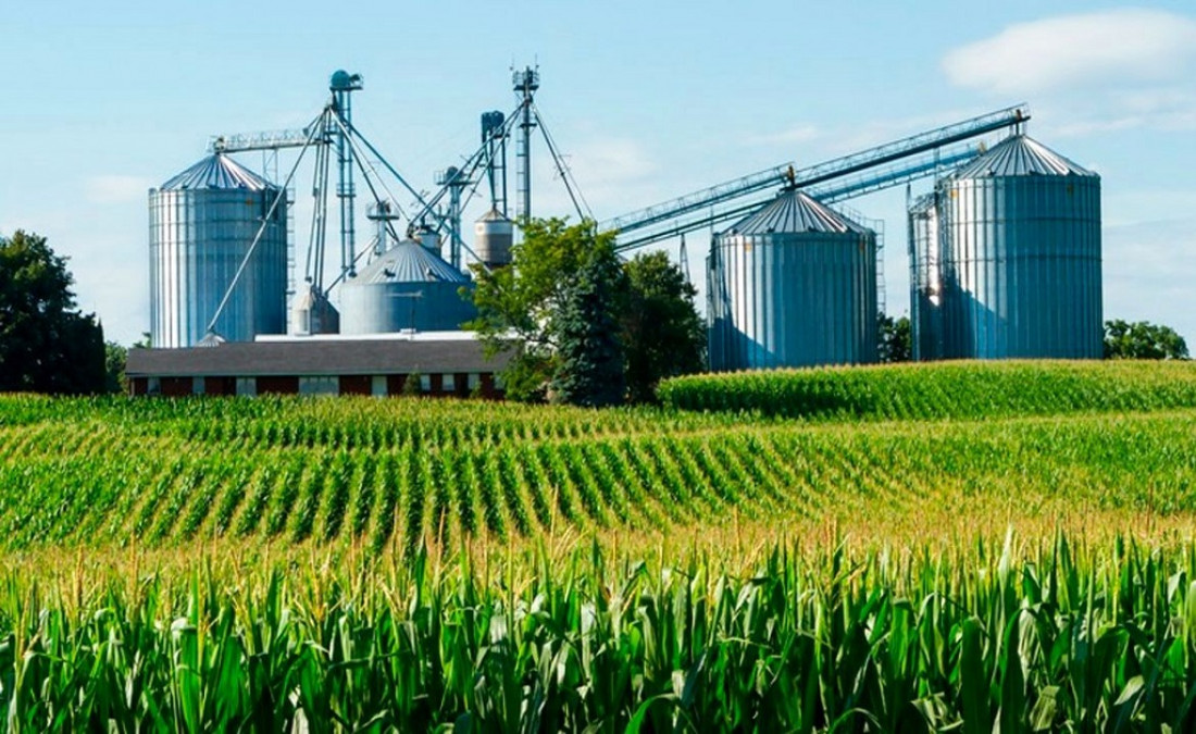 ¿Puede la agroindustria argentina responder al desafío energético mediante biocombustibles?