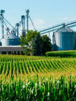 ¿Puede la agroindustria argentina responder al desafío energético mediante biocombustibles?
