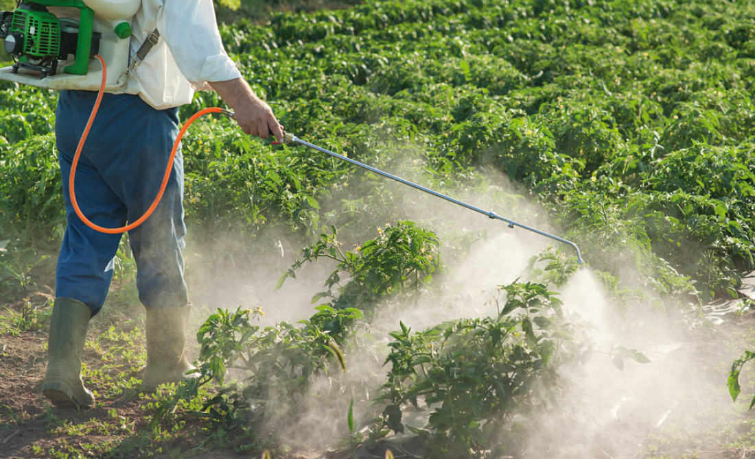 Reflotarán ley para vender agroquímicos bajo receta