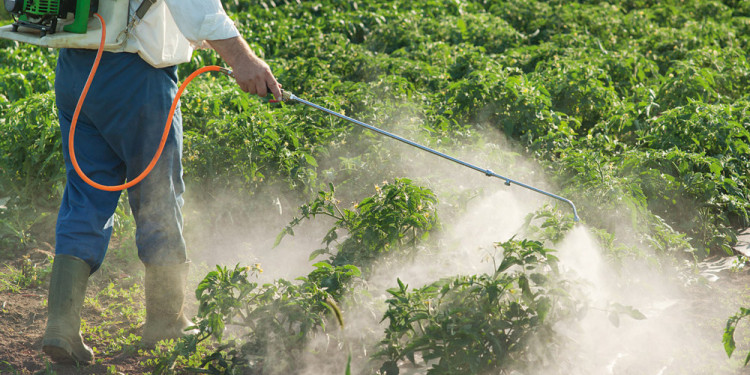 Reflotarán ley para vender agroquímicos bajo receta